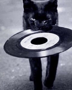 Meet your Posher, Ed